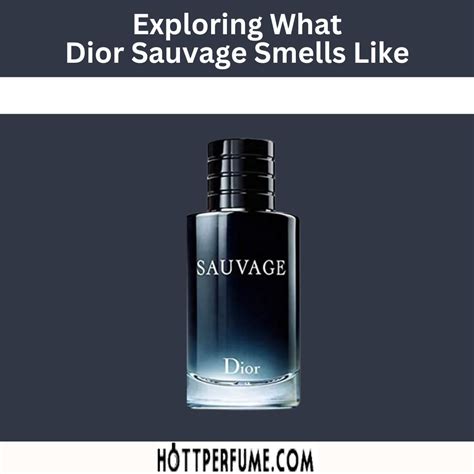 colognes that smell like dior sauvage|cologne better than dior sauvage.